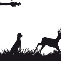 Deer Velvet Antler for Dogs: University Studies, Vet Insights &amp; a Natural Path for Joint Comfort