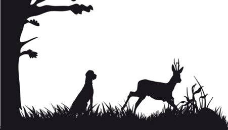 Deer Velvet Antler for Dogs: University Studies, Vet Insights &amp; a Natural Path for Joint Comfort