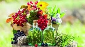 Medicinal and Aromatic Plants in Anti-Aging and Chronic Disease Prevention in the Elderly