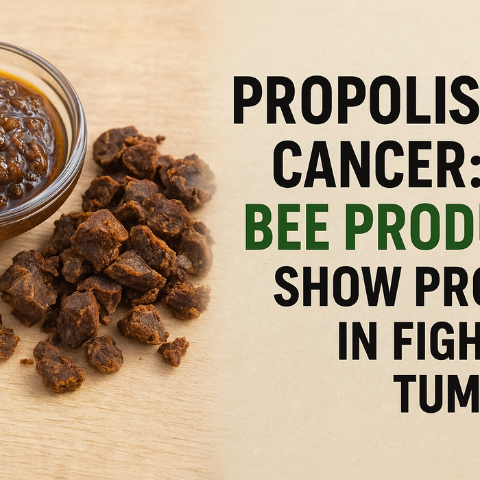 <h1>Can Propolis Help Fight Cancer? What an Iraqi Study Reveals</h1>