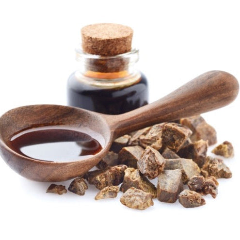 Propolis resin with honeycomb and raw propolis granules, illustrating natural immune-support compounds studied in modern research
