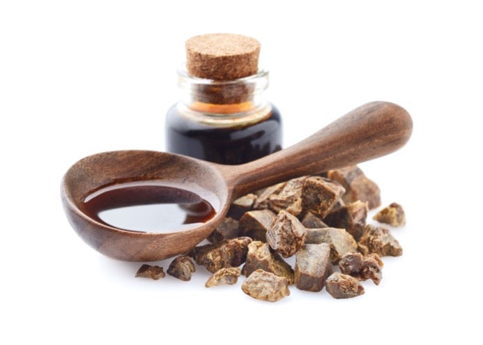 Propolis resin with honeycomb and raw propolis granules, illustrating natural immune-support compounds studied in modern research