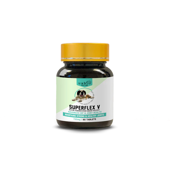 Natural Joint Support for Dogs: Helping Mobility and Comfort as They Age