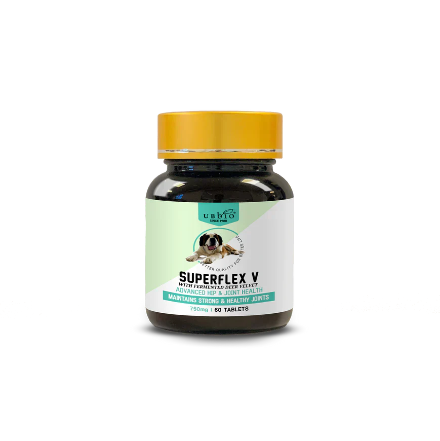Natural Joint Support for Dogs: Helping Mobility and Comfort as They Age