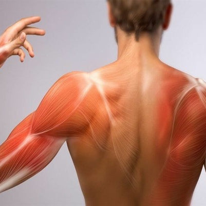 Are You in Muscle Pain for Days Following Serious Excersize?